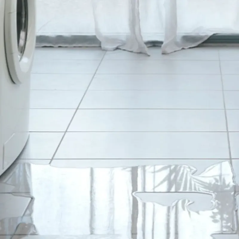 Appliance Leak Cleanup in Nags Head, NC