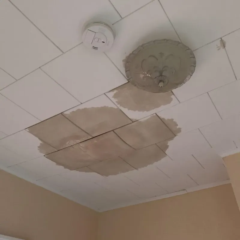 Ceiling Water Damage Repair in Nags Head, NC